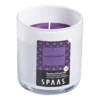 Geurkaars In Glas Met Deksel 56u - Joyful Excitement - Geurkaars - SPAAS -Woningverbetering Winkel geurkaars in glas met deksel 56u joyful excitement geurkaars spaas 1 4